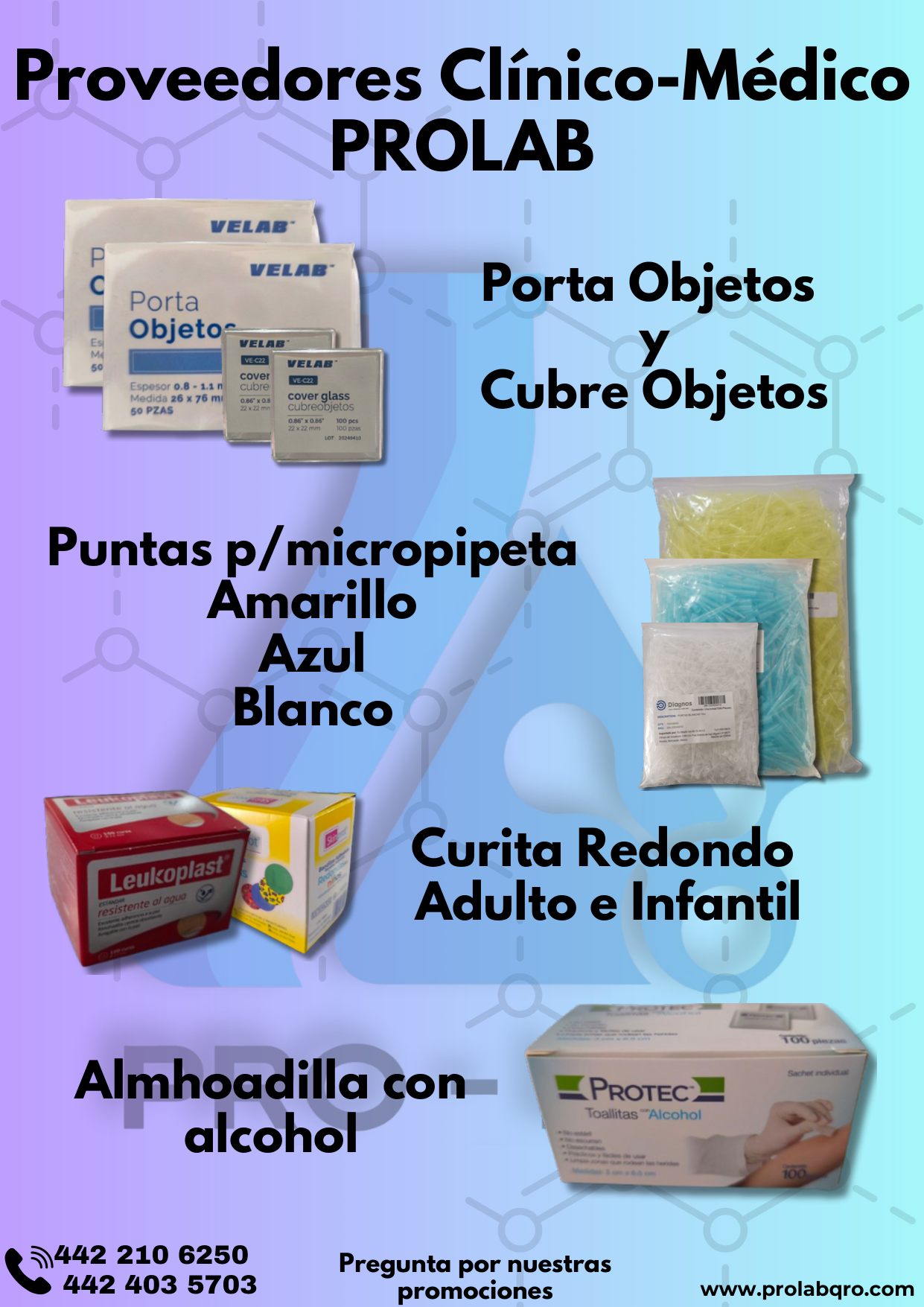 Miniatura Pág. 6