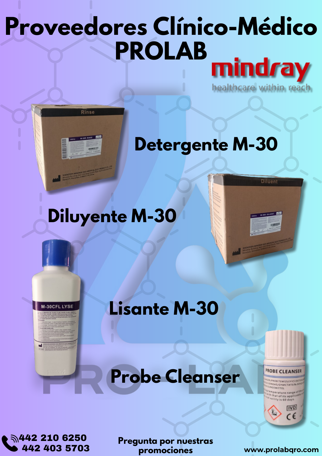 Miniatura Pág. 7