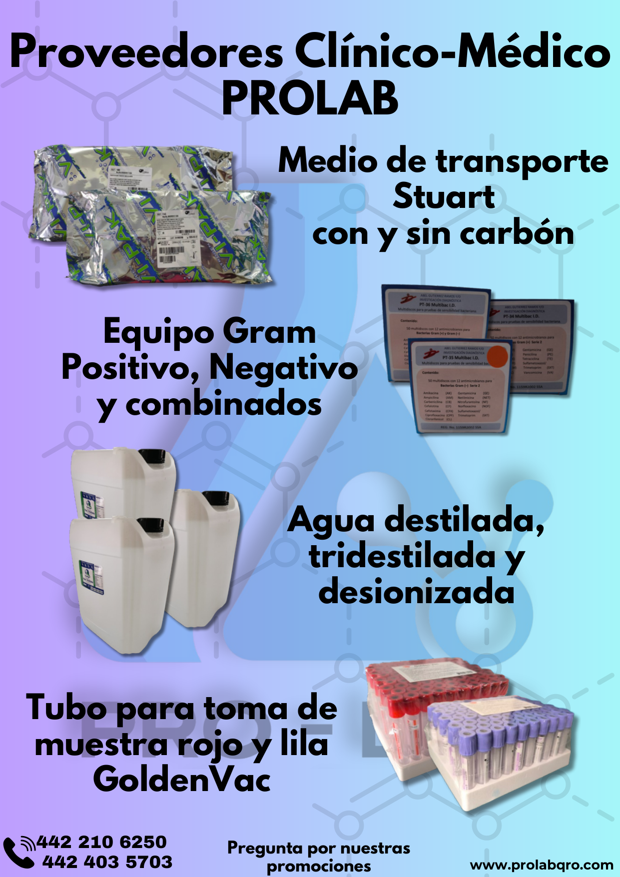 Miniatura Pág. 8